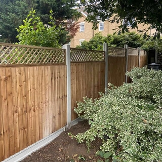 Closeboard fencing with trellis